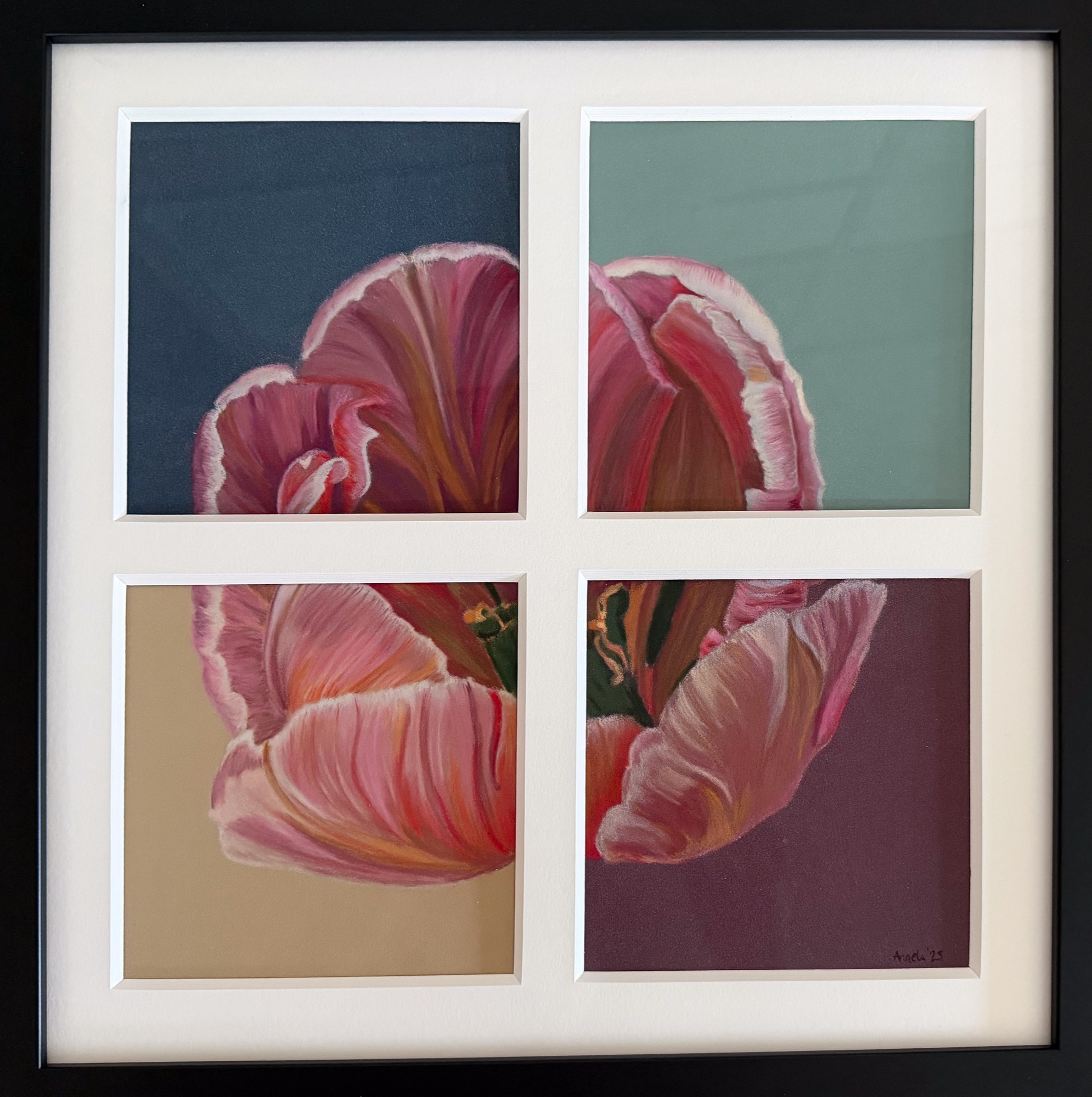 Tulip in Four Parts — pastel pencil on pastelmat, 2025