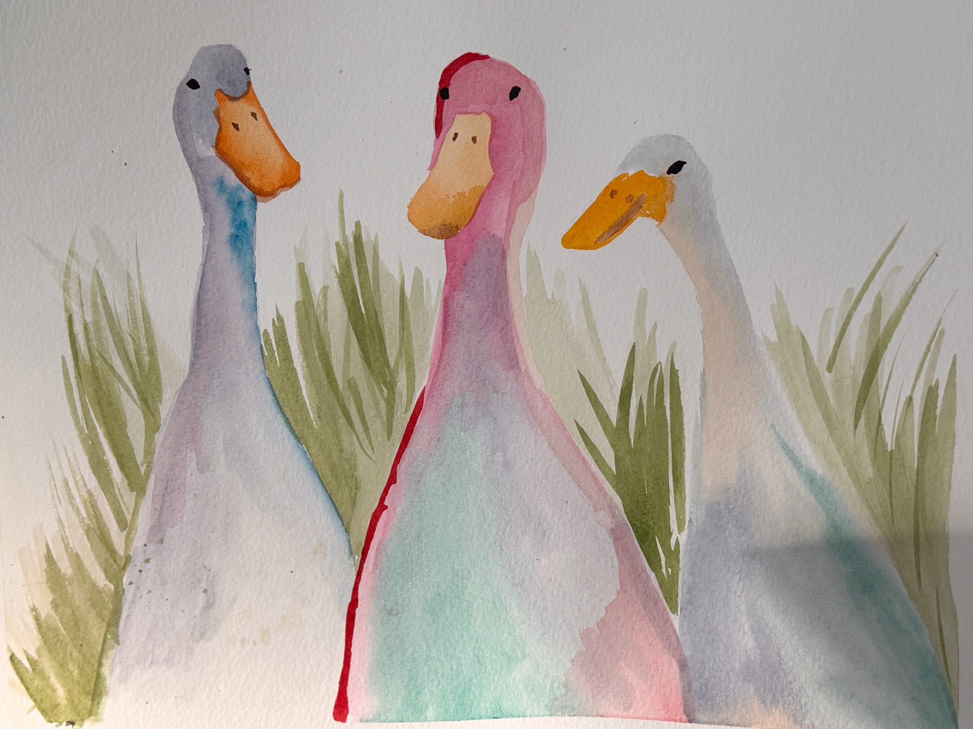 Menacing Geese — watercolor