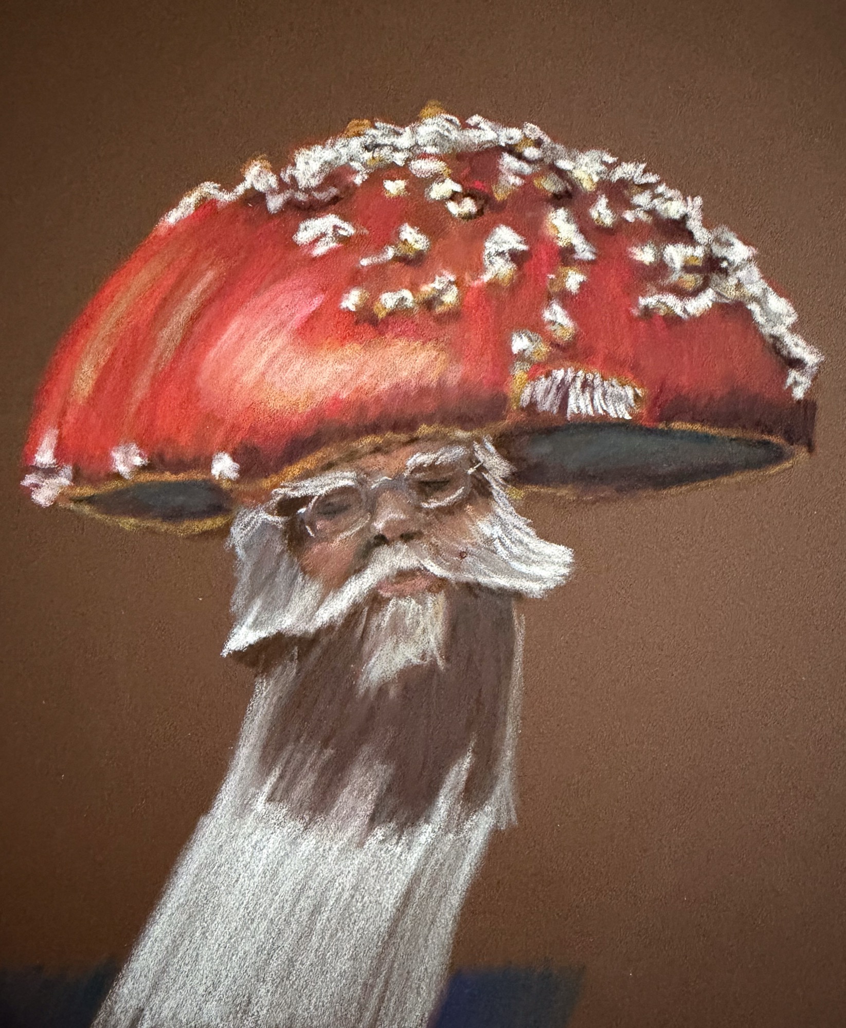 Santashroom — pastel pencil on pastelmat